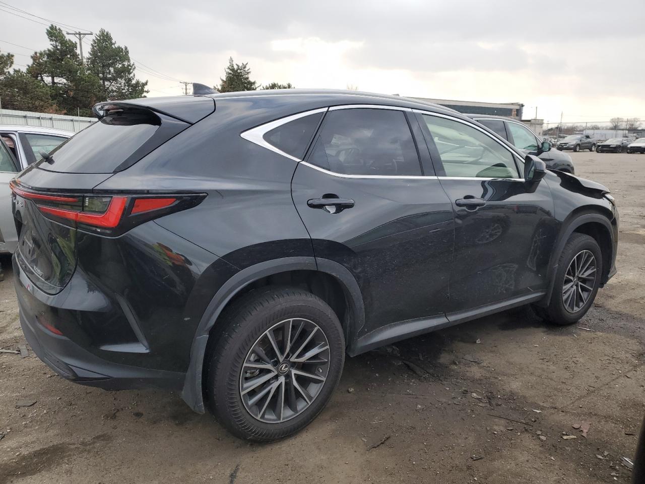 2022 LEXUS NX 250 VIN:JTJADCAZ6N2001315