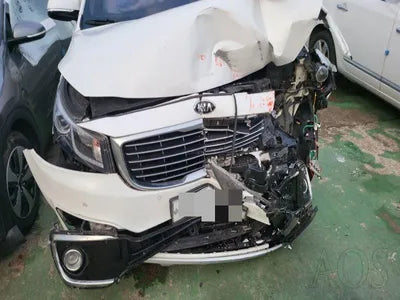 2015 Kia Carnival KNAME81ABFS061664 VIN:KNAME81ABFS061664
