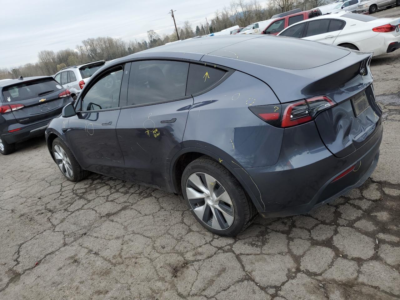 2023 TESLA MODEL Y  VIN:7SAYGDEE9PF619740