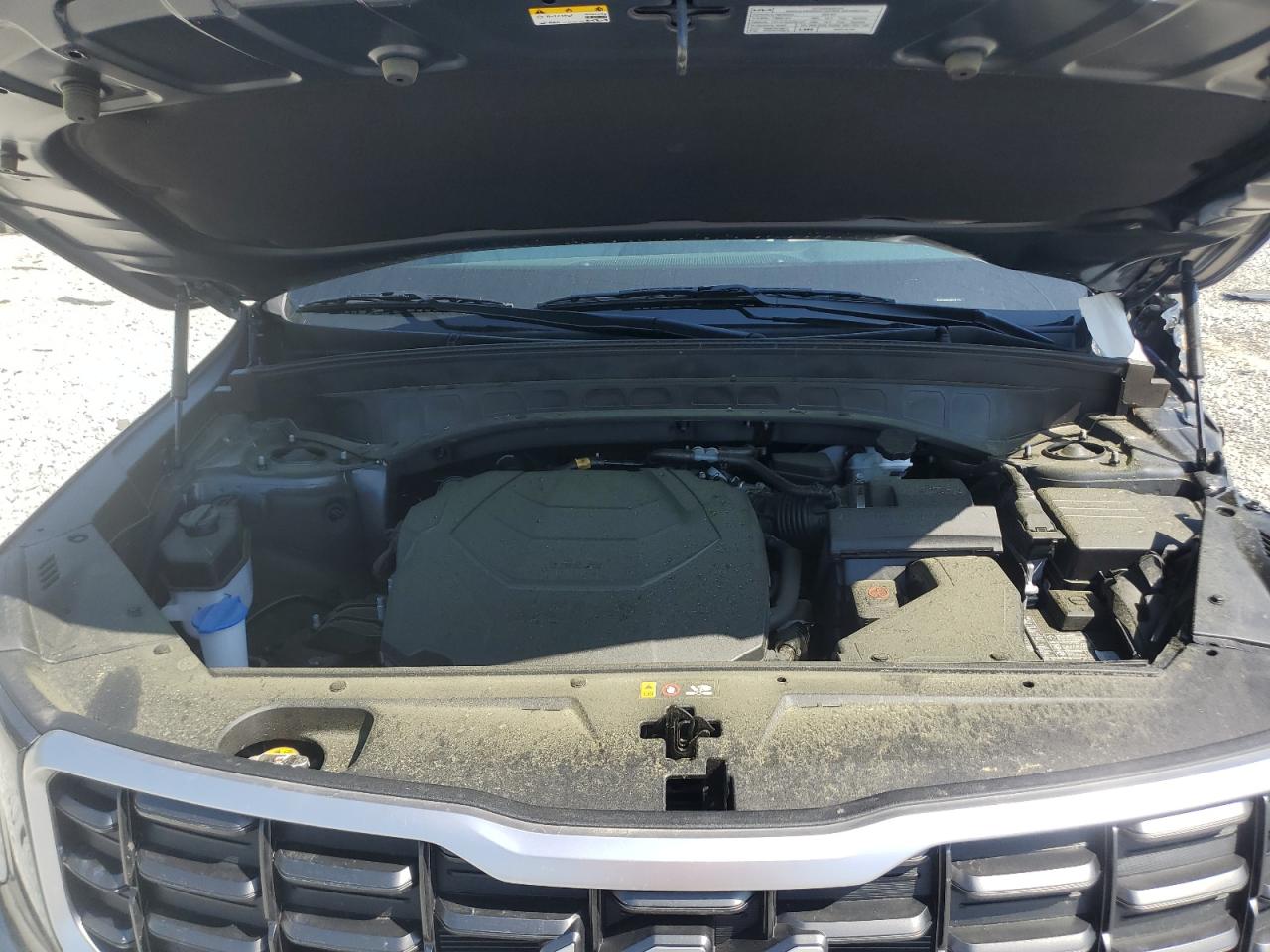 2024 KIA TELLURIDE S VIN:5XYP6DGC5RG437424