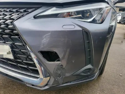 2019 Lexus UX 250 JTHY6JBH1K2001609 VIN:JTHY6JBH1K2001609