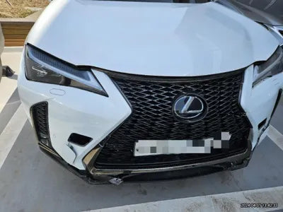 2020 Lexus UX 250 VIN: