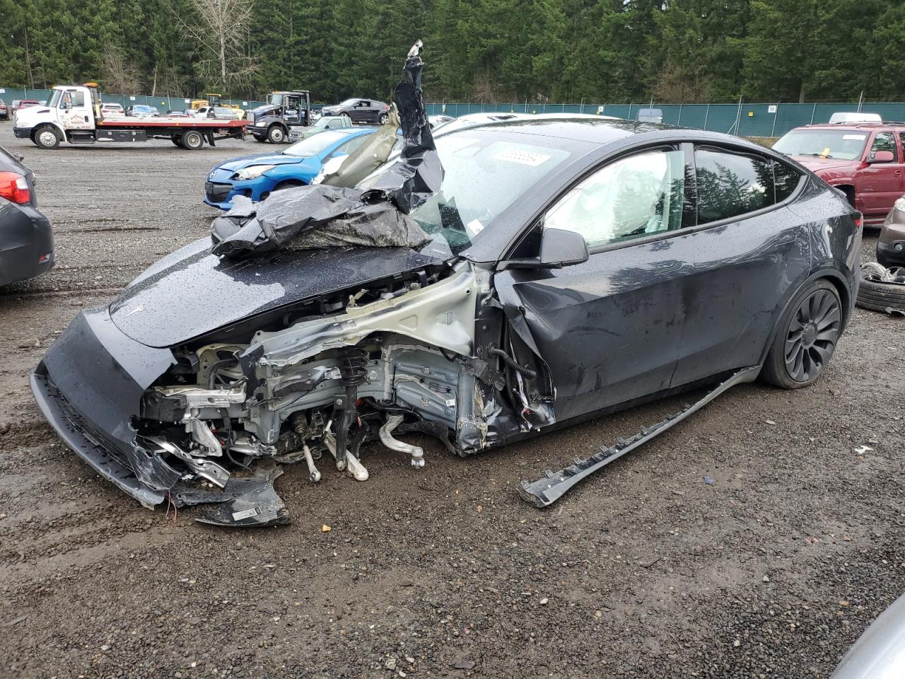 2024 TESLA MODEL Y  VIN:7SAYGDEF5RF163148