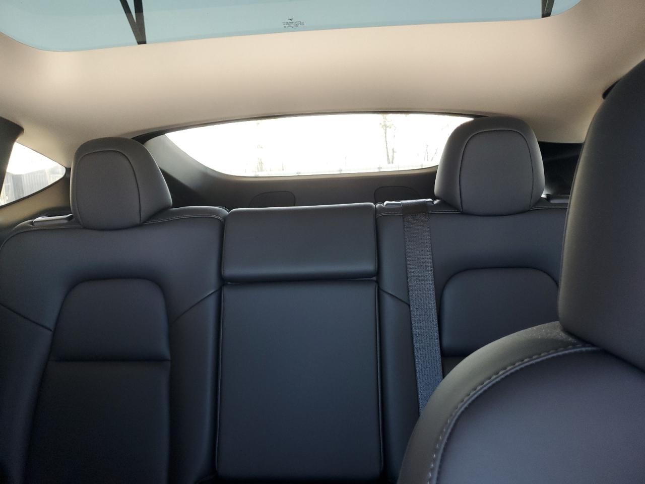 2024 TESLA MODEL Y  VIN:7SAYGDEE3RF983588