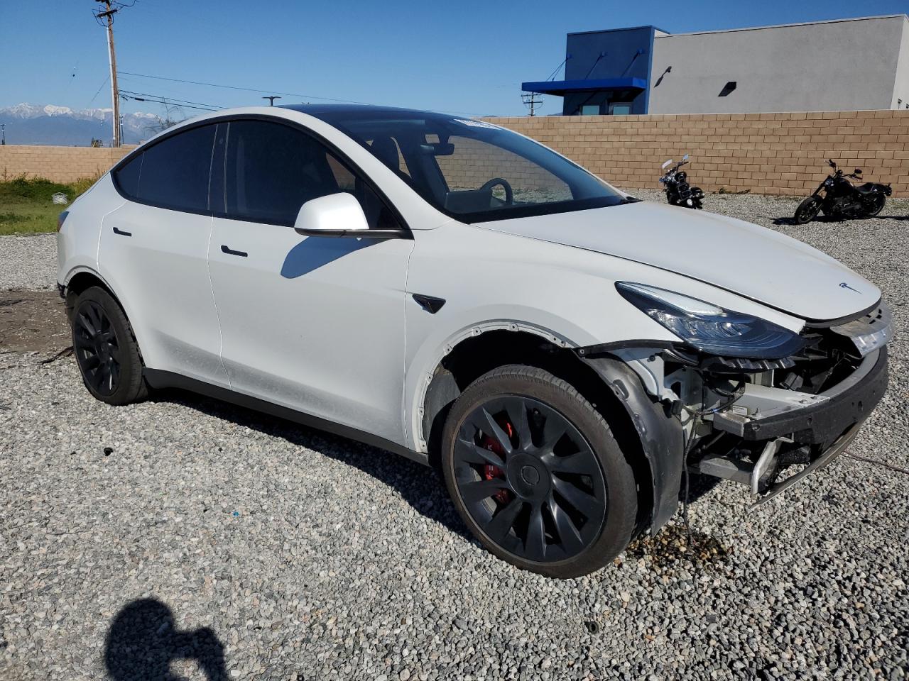 2023 TESLA MODEL Y  VIN:7SAYGDEE6PA103302