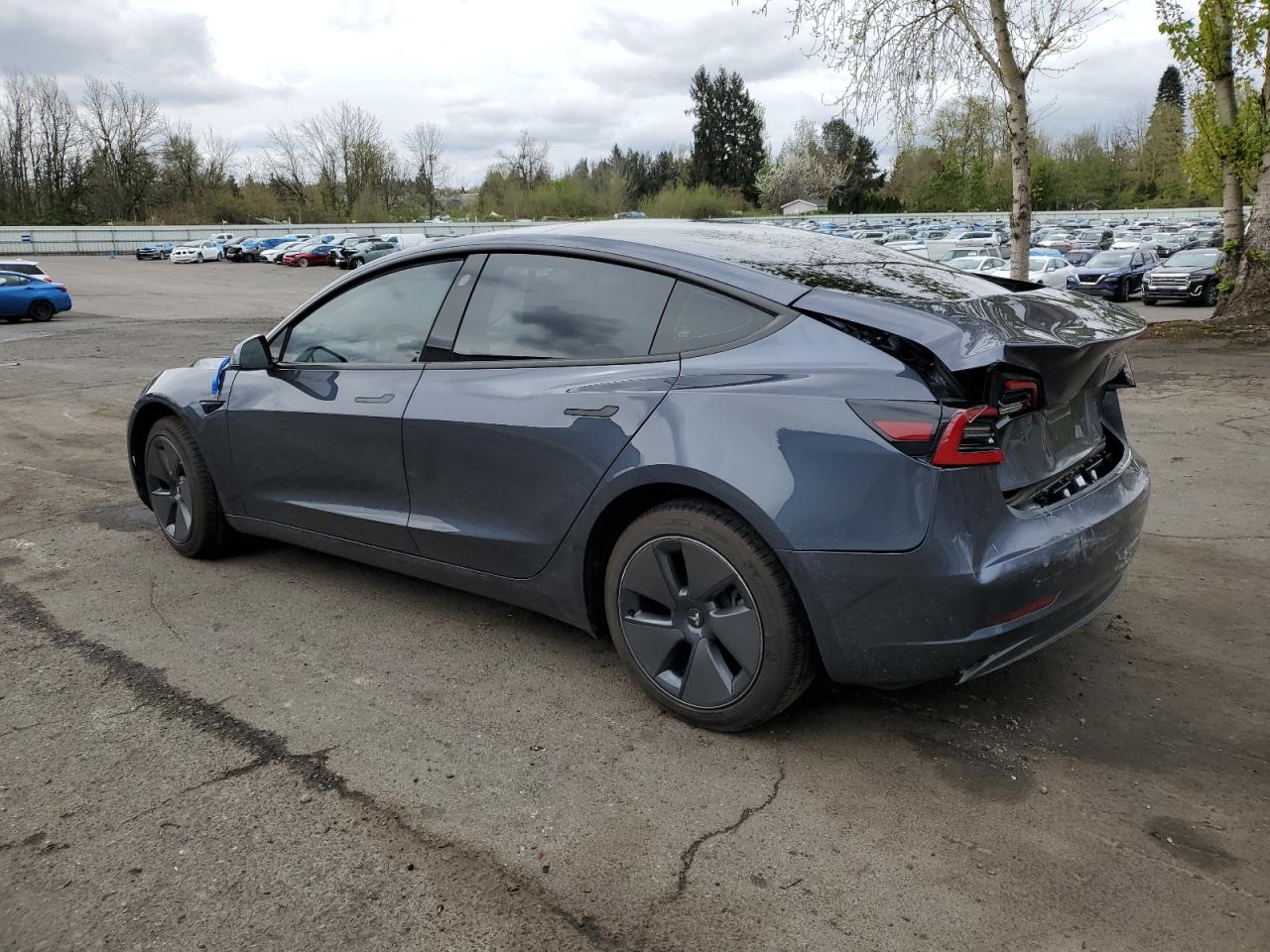 2023 TESLA MODEL 3  VIN:5YJ3E1EA3PF557163