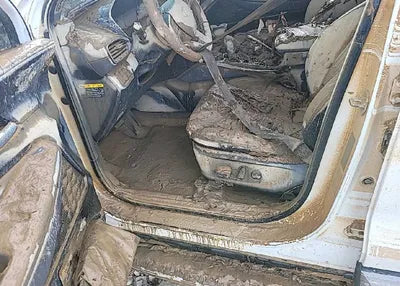 2019 Hyundai Santa FE KMHS381ADKU132219 VIN:KMHS381ADKU132219