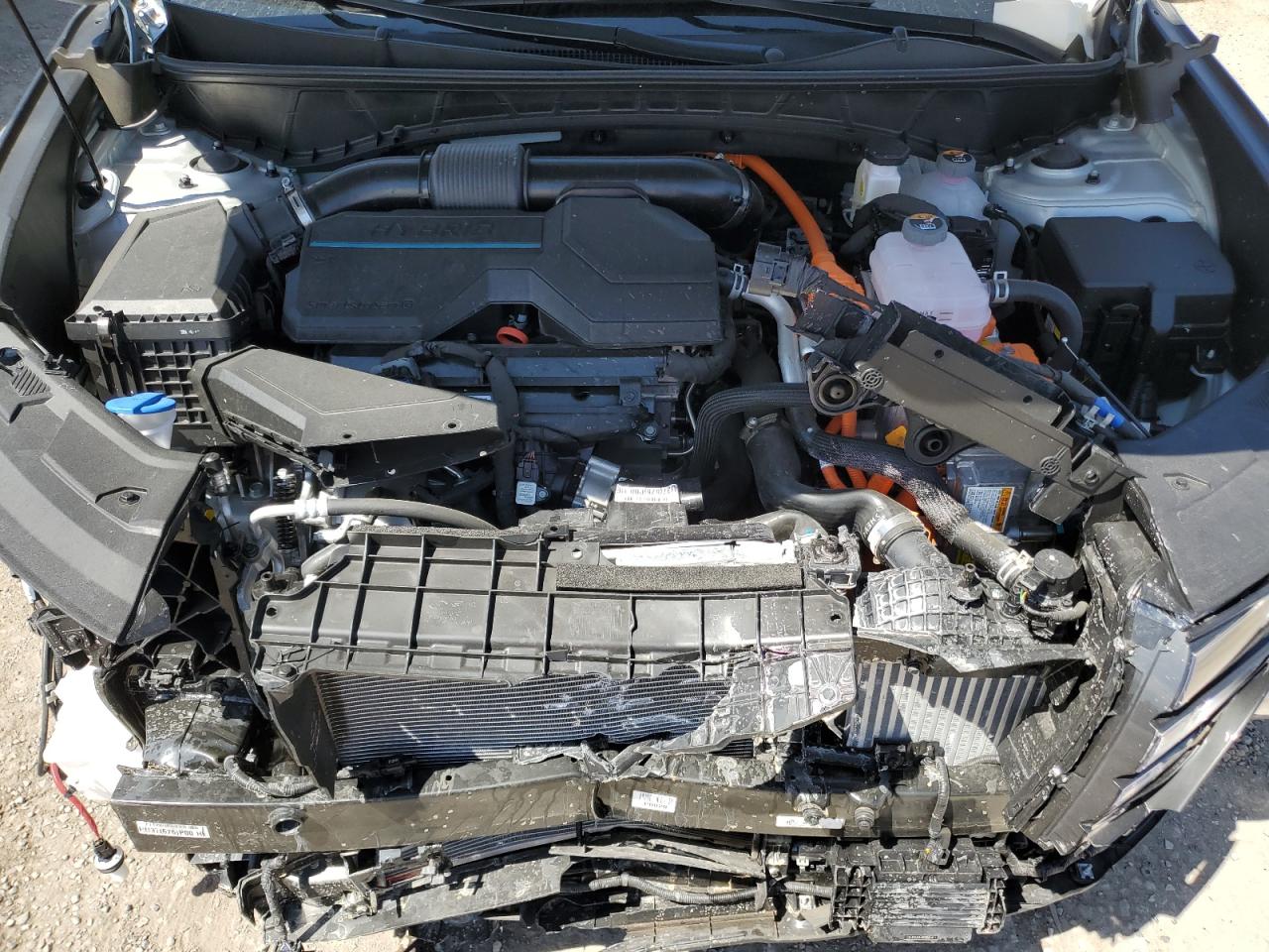 2024 HYUNDAI TUCSON SEL CONVENIENCE VIN:KM8JCCD14RU198521