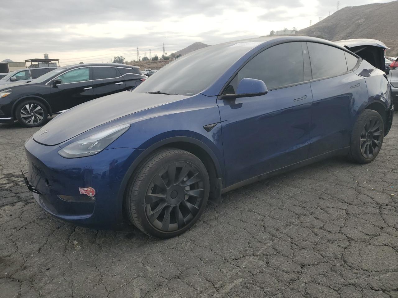 2023 TESLA MODEL Y  VIN:7SAYGDEE6PF875303