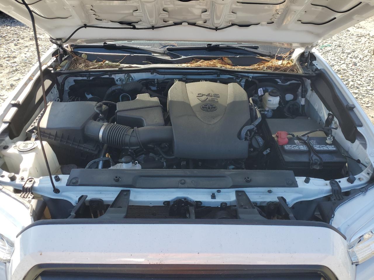 2023 TOYOTA TACOMA ACCESS CAB VIN:3TYRZ5CN9PT024598