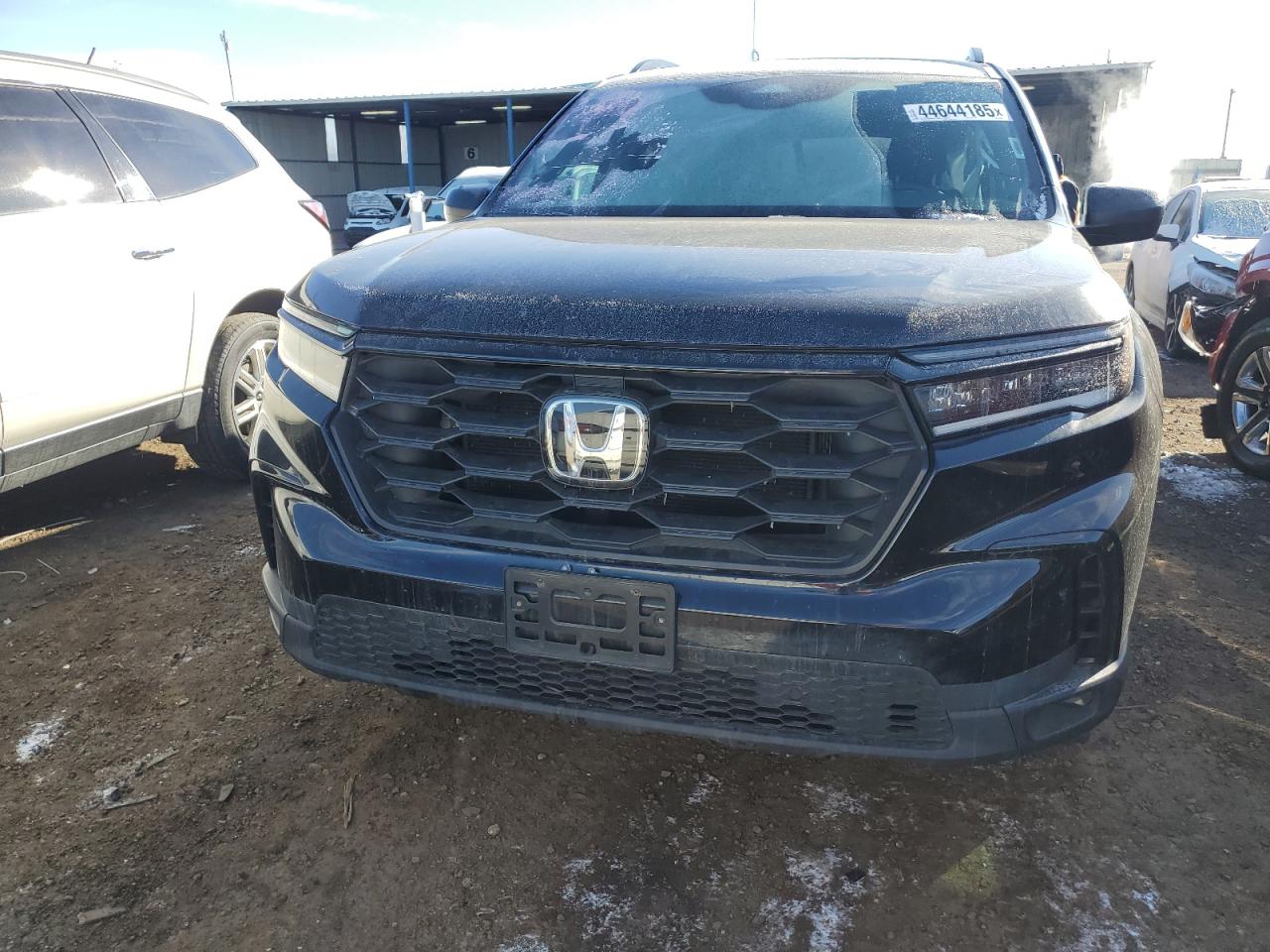 2023 HONDA PILOT SPORT VIN:5FNYG1H33PB003487