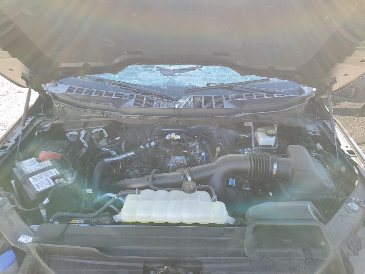 2023 FORD F150 SUPERCREW VIN:1FTEW1EP7PKG17300