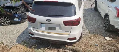 2019 Kia Sorento KNAPS81BBLA564800 VIN:KNAPS81BBLA564800