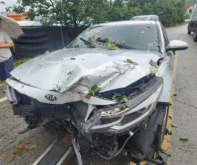 2020 Kia K5 KNAGT416BLA374613 VIN:KNAGT416BLA374613