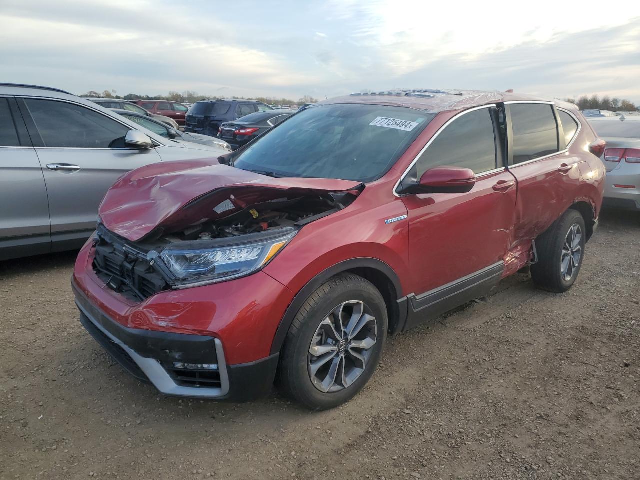 2022 HONDA CR-V EX VIN:5J6RT6H54NL002268