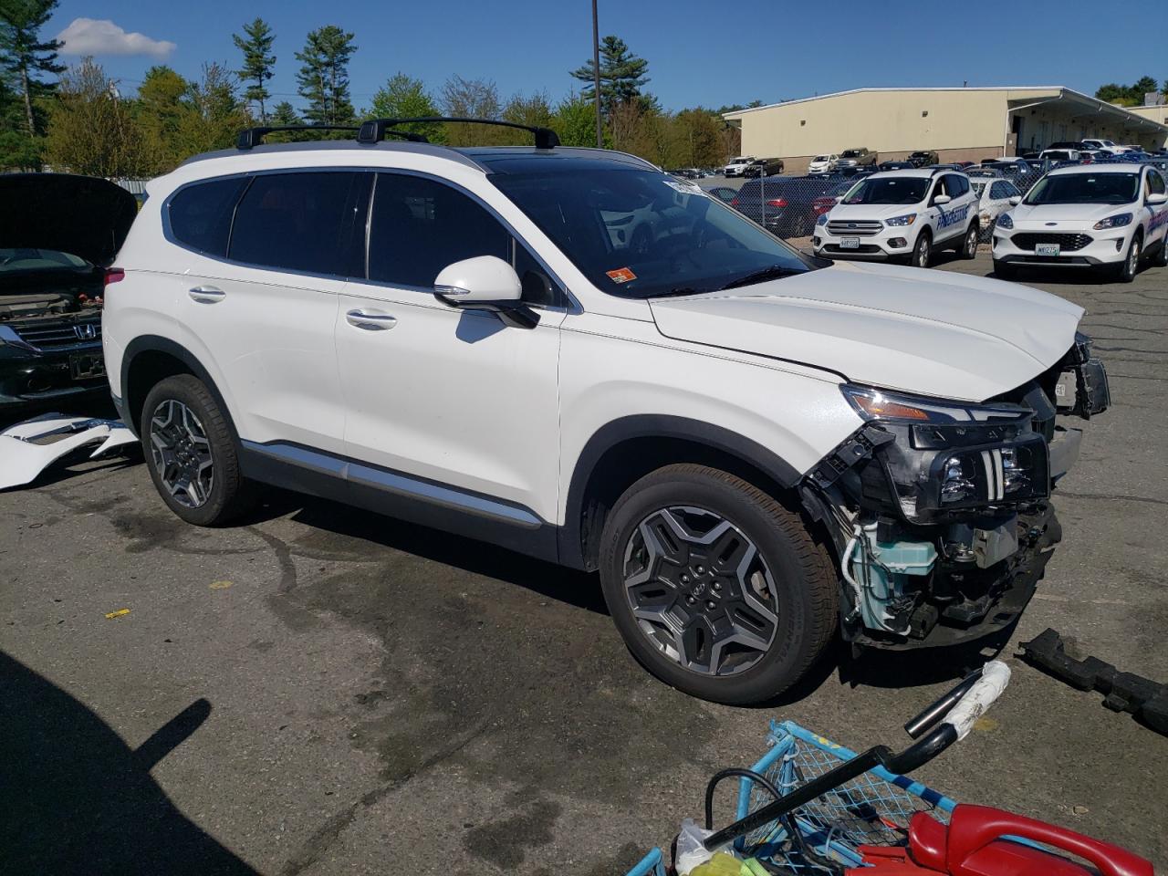 2023 HYUNDAI SANTA FE LIMITED VIN:5NMS5DA16PH000569