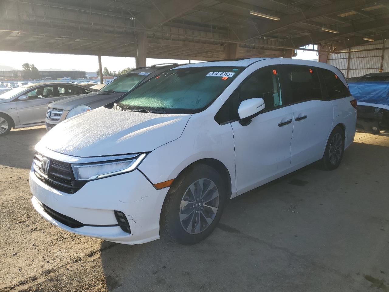 2024 HONDA ODYSSEY EXL VIN:5FNRL6H6XRB008230