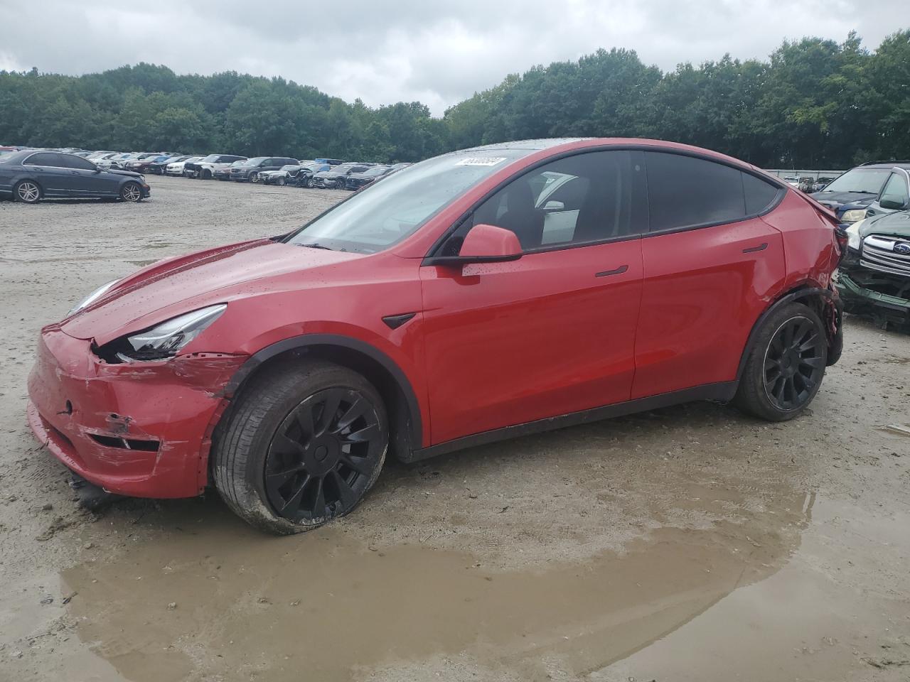 2023 TESLA MODEL Y  VIN:7SAYGDEE0PA029102