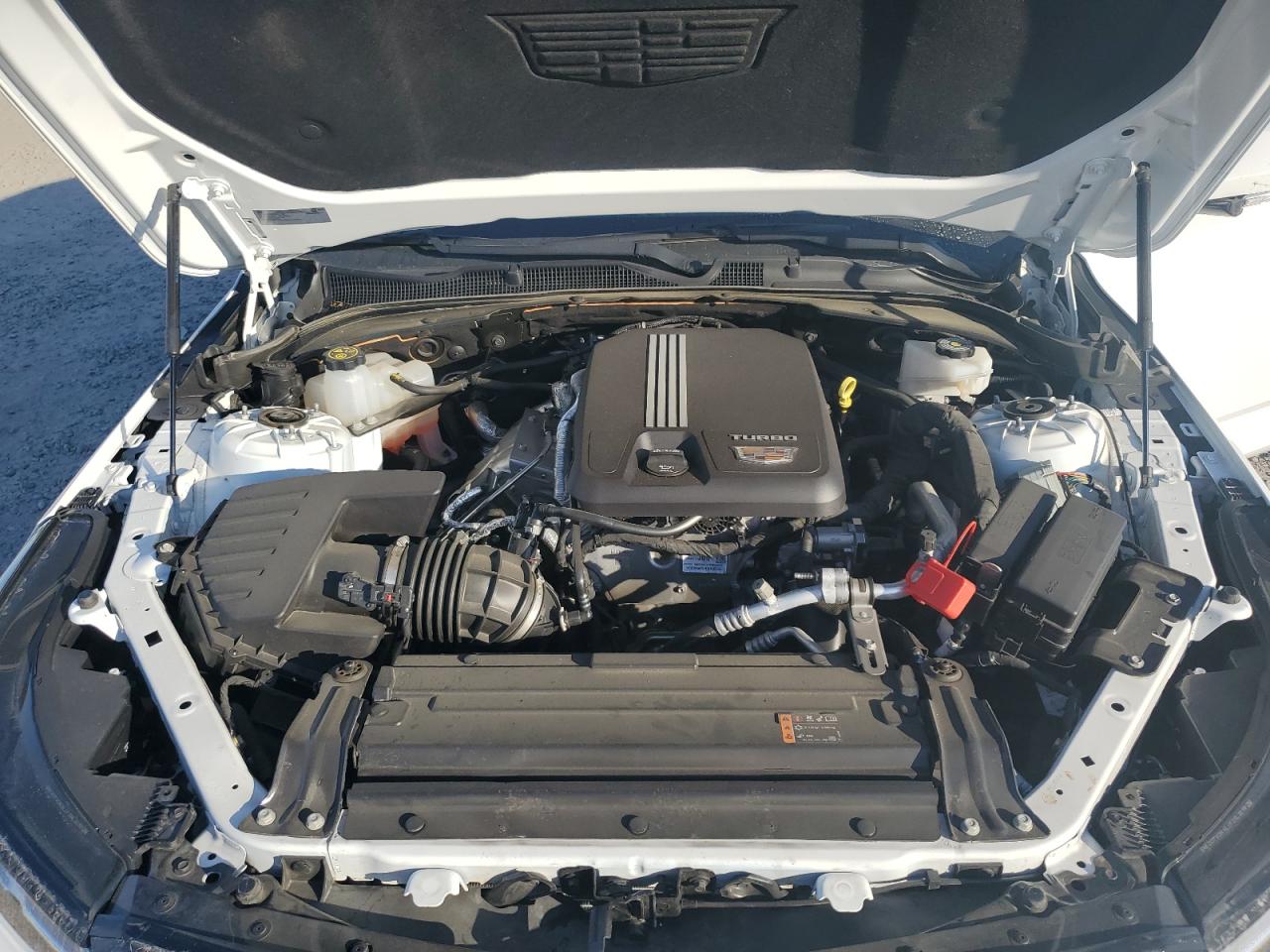 2023 CADILLAC CT4 PREMIUM LUXURY VIN:1G6DB5RK0P0115241