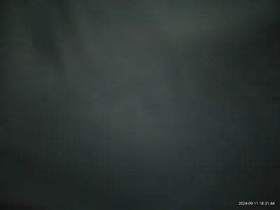 2023 Lexus RX 350 VIN: