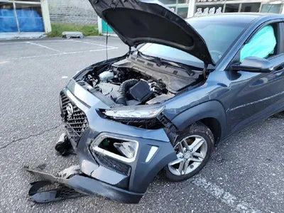 2018 Hyundai Kona KMHK3816GJU139771 VIN:KMHK3816GJU139771