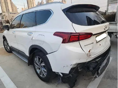 2019 Hyundai Santa FE KMHS281CBKU107302 VIN:KMHS281CBKU107302