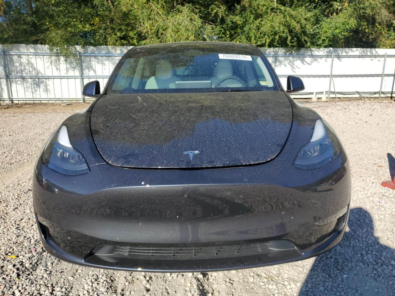 2024 TESLA MODEL Y  VIN:7SAYGAEE3RF117727