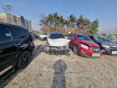 2019 Hyundai Santa FE KMHS381ADLU216986 VIN:KMHS381ADLU216986