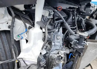 2019 Hyundai Santa FE KMHS381ADKU169994 VIN:KMHS381ADKU169994