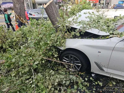 2018 BMW 520 354KMWBAJC3102JDB VIN:354KMWBAJC3102JDB