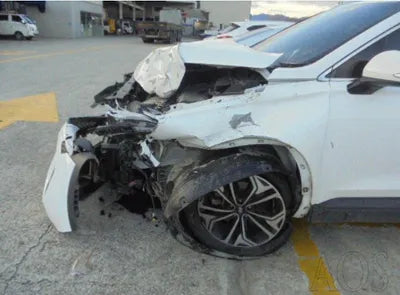 2019 Hyundai Santa FE KMHS281BDKU120334 VIN:KMHS281BDKU120334