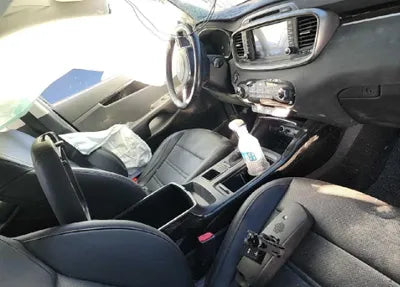 2020 Kia Sorento KNAPG81BBLA610348 VIN:KNAPG81BBLA610348