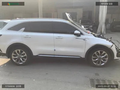 2020 Kia Sorento KNARL81BGMA016359 VIN:KNARL81BGMA016359