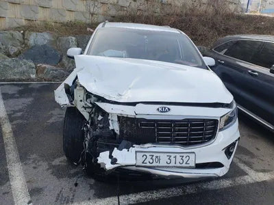 2019 Kia Carnival KNAMB81ABKS556683 VIN:KNAMB81ABKS556683