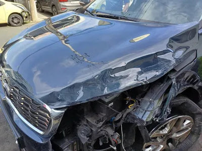 2019 Kia Sorento KNAPH81ABLA637479 VIN:KNAPH81ABLA637479