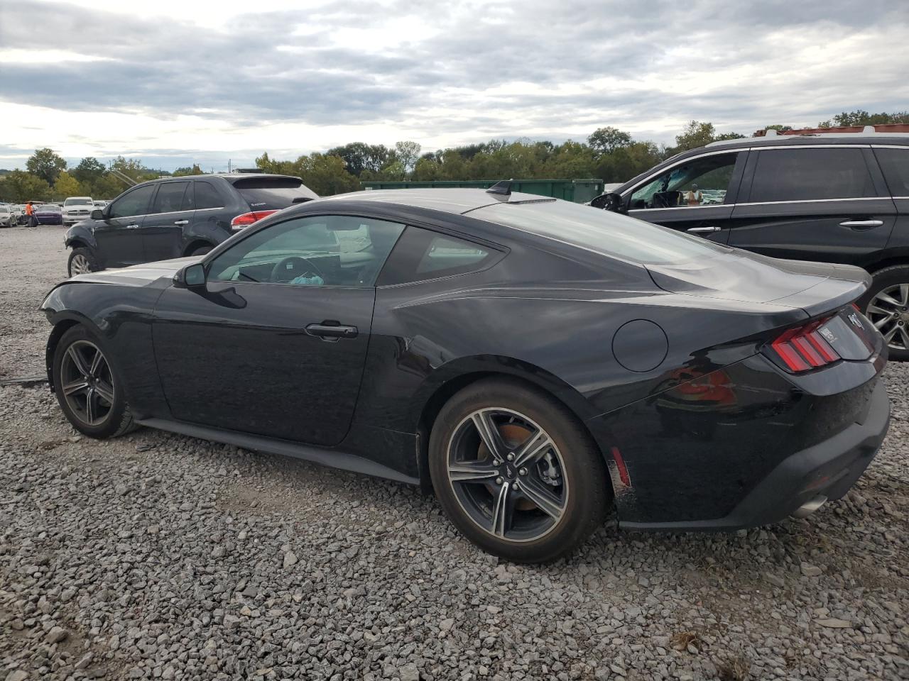 2024 FORD MUSTANG  VIN:1FA6P8TH1R5107697