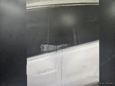 2015 Volkswagen Tiguan VIN: