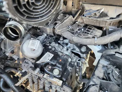 2020 Hyundai Santa FE KMHS381HGMU323976 VIN:KMHS381HGMU323976