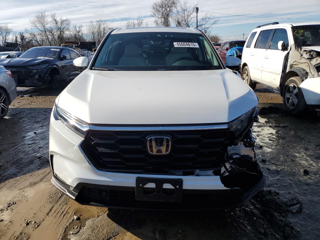 2024 HONDA CR-V EXL VIN:2HKRS4H79RH422505