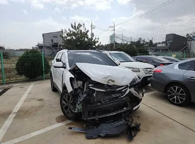 2018 Hyundai Santa FE KMHSW81UBJU788786 VIN:KMHSW81UBJU788786