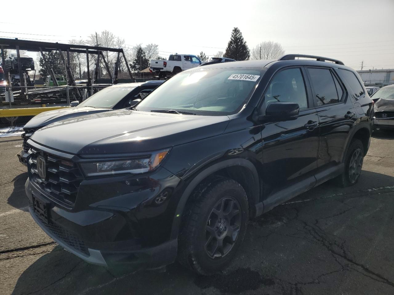2024 HONDA PILOT TRAILSPORT VIN:5FNYG1H63RB040262