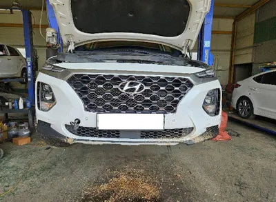 2020 Hyundai Santa FE KMHS381BBLU287607 VIN:KMHS381BBLU287607