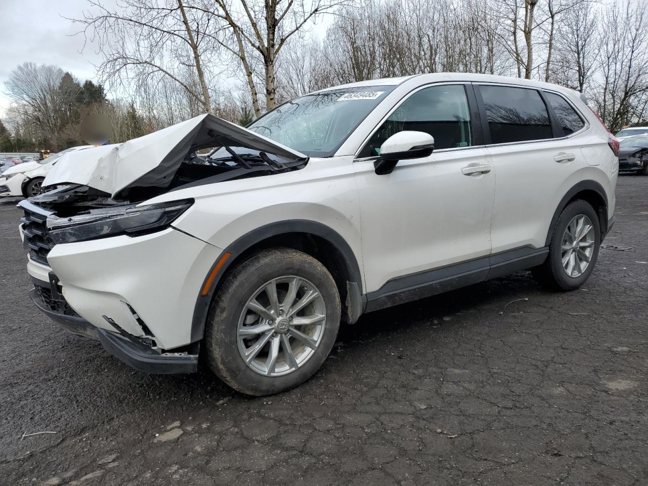 2024 HONDA CR-V EXL VIN:5J6RS4H7XRL012110