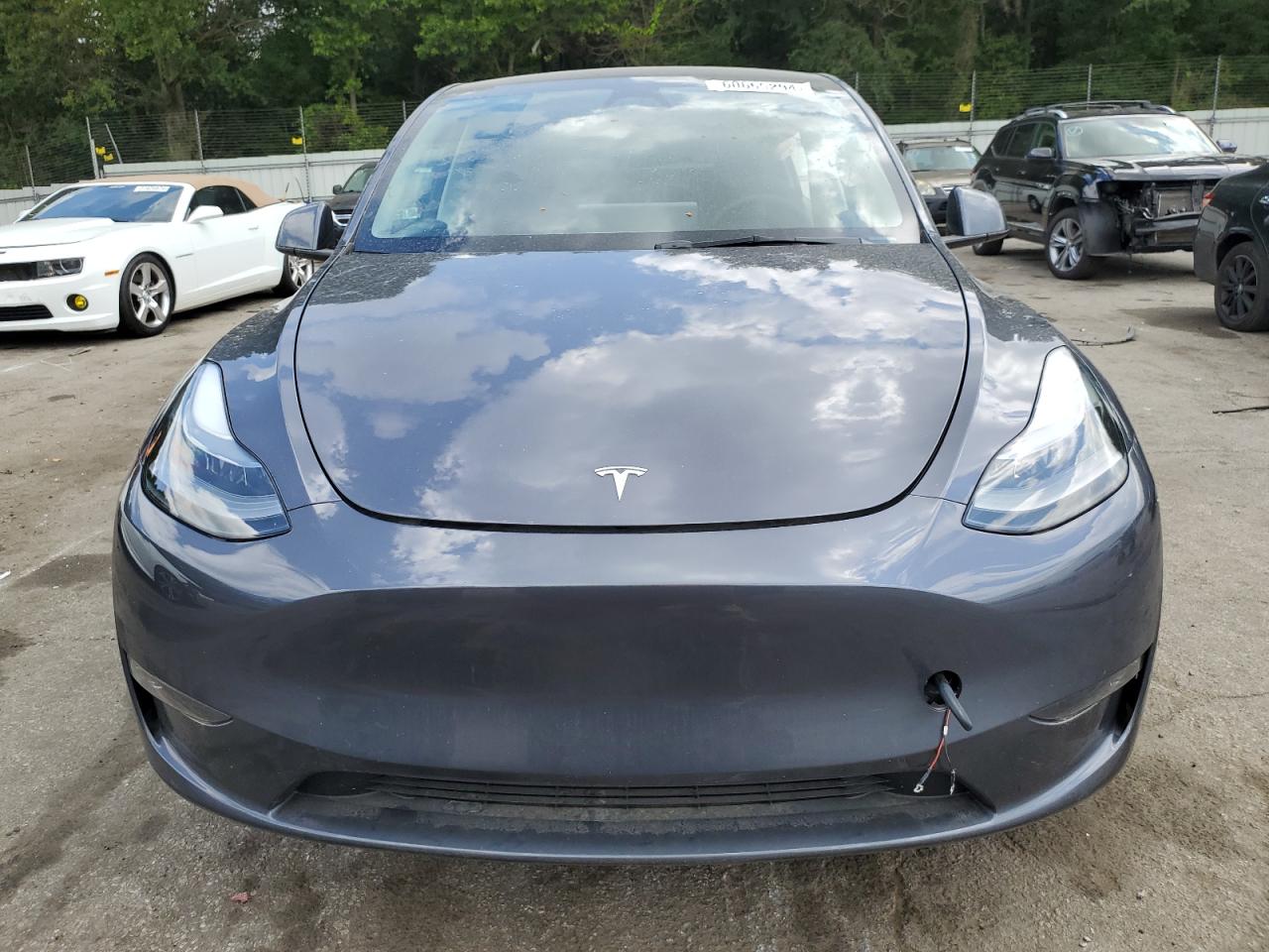 2023 TESLA MODEL Y  VIN:7SAYGDED6PF935135