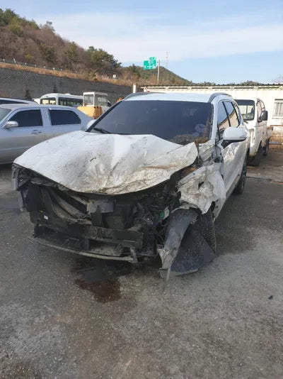 2018 Hyundai Santa FE KMHS281BDKU061175 VIN:KMHS281BDKU061175