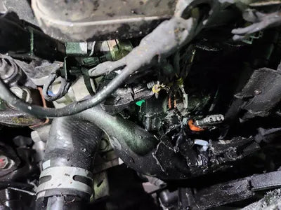 2020 Hyundai Santa FE 1KMHS281BBLU28875 VIN:1KMHS281BBLU28875