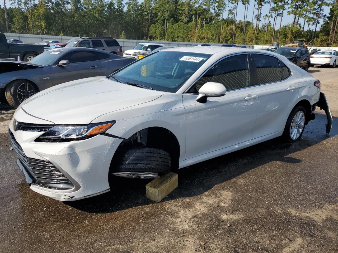 2024 TOYOTA CAMRY LE VIN:4T1C11AK6RU215271