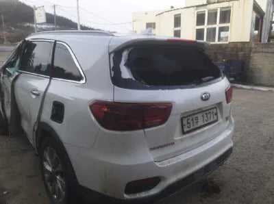 2019 Kia Sorento KNAPH81BDKA479311 VIN:KNAPH81BDKA479311