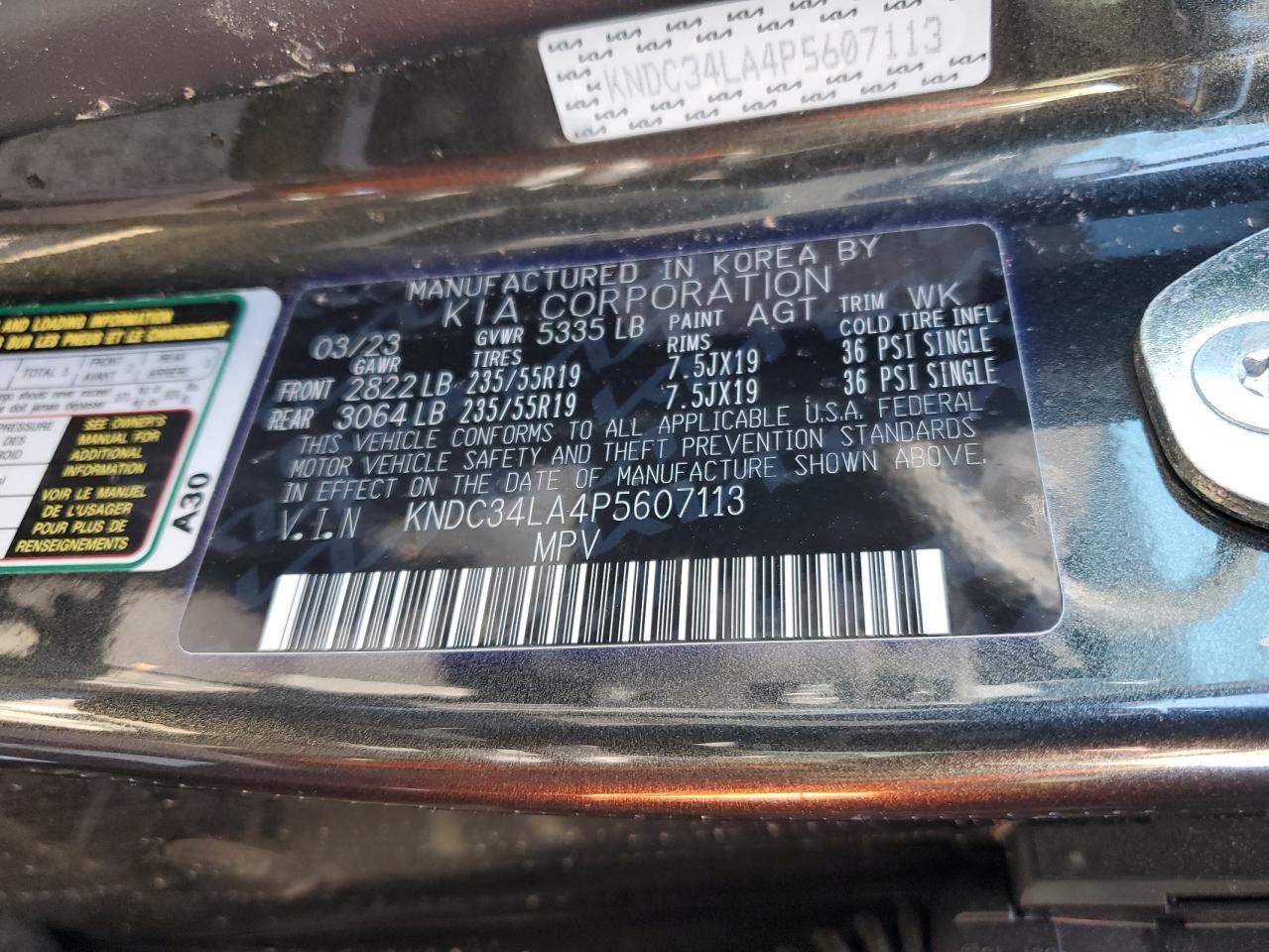 2023 KIA EV6 LIGHT VIN:KNDC34LA4P5607113