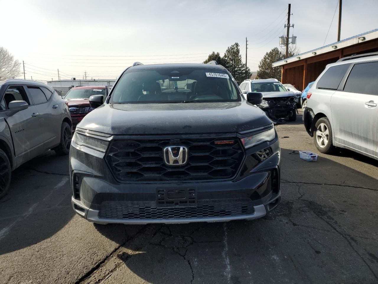2024 HONDA PILOT TRAILSPORT VIN:5FNYG1H63RB040262